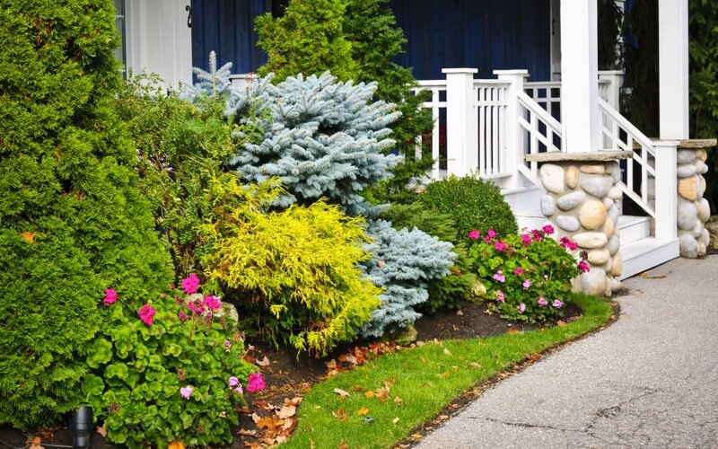 Professional Landscaping Company in Northern Kansas
